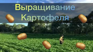 КФХ СТОЗУБ- Выращивание картофеля