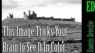 This Image Tricks Your Brain to See It In Color