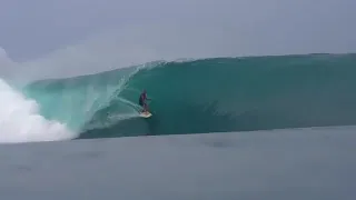 Green Bush, Mentawai