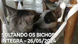 Soltando os Bichos - 26/05/2024