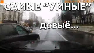 Подборка САМЫХ "УМНЫХ" водителей #599