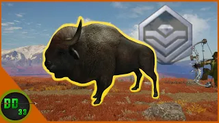 The Biggest Bison I've Ever SEEN!! Call Of The Wild