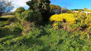 Overgrown Garden gets Final Transformation | Complete Yard Cleanup