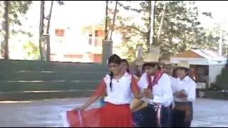 Pericón - Danza Paraguaya