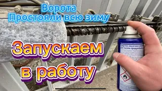 Ворота простояли всю зиму, провожу небольшое ТО 🔧#воротараспашные#автоматикадляворот#автоматика