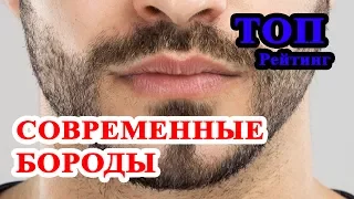 ТОП 8 современных мужских бород. Какую бороду все же носить?