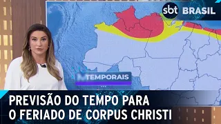 Corpus Christi deve ter calor e chuva no norte e sol e frio no sul | SBT Brasil (29/05/24)