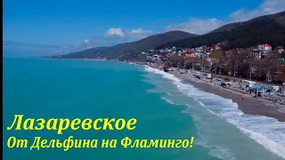 Пляжи Дельфин и Фламинго! Апрель 2022.🌴ЛАЗАРЕВСКОЕ СЕГОДНЯ🌴СОЧИ.