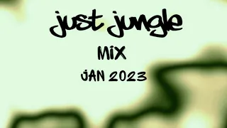 Just Jungle   Mix Jan 2023