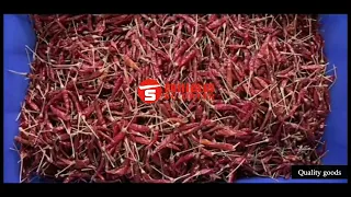 Chili Pepper color sorting machine