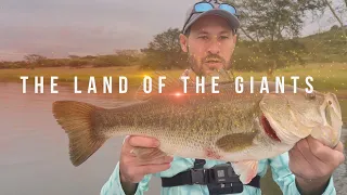 This spot is FULL OF GIANT LARGEMOUTH BASS. Bass fishing South Africa, Albert Falls Dam