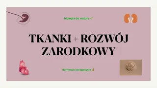 #18 Rozwój zarodkowy + tkanki zwierzęce - matura biologia rozszerzona 📕liceum ✅