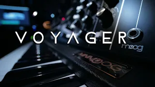 Moog Voyager