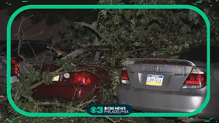 Severe weather in Delaware causes tree branch to damage 5 parked cars