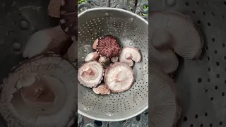 How we grow shiitake mushrooms in our backyard garden! 🙂 #growyourownfood #urbanhomesteading