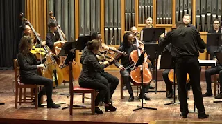 Romanian Folk Dances/ Román népi táncok Béla Bartók