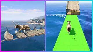 Race Over Obstacles Between Cows And Pets | Animal Challenges | Immotal Gaming | GTA 5 #16