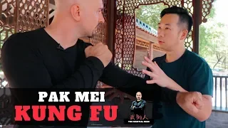 Pak Mei Kung Fu | Sifu Adam Chan | Season 2 Episode 23