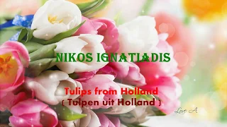 ♥ Ƹ̵̡Ӝ̵̨̄Ʒ ♥ TULPEN UIT HOLLAND -- NIKOS IGNATIADIS
