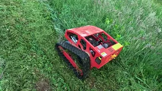 Mowing The Grass With a Remote Controlled Lawnmower 2024