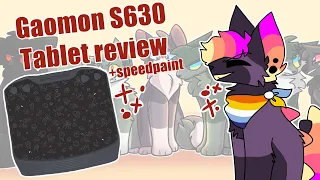 GAOMON S360 Tablet Review (+Speedpaint)