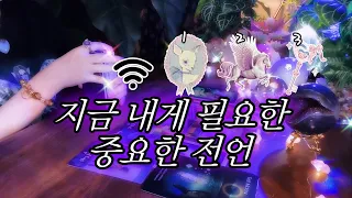 지금 당신에게 찾아온 중요한 메시지 🔮 타임리스 사이킥 타로 리딩 𓂀✴︎