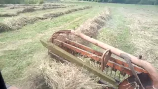 знову сіно та рідкісна гребка на теренахУкраїни