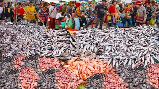 World's massive fish supplies, amazing Cambodian fish markets in Phnom Penh