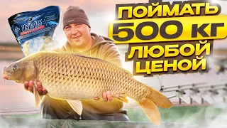 ДУПЛЕТ ЗА ДУПЛЕТОМ! Тест новых бойлов VS Baits на Кубке Губернатора. Водоем Каневской