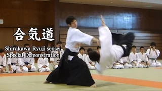 Aikido - Shirakawa Ryuji sensei 【summer camp 2015】 白川竜次 先生