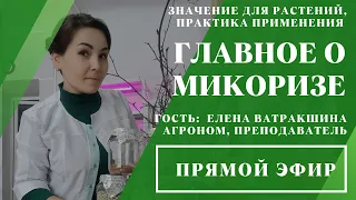 Прямой эфир «Главное о микоризе» // 30.04.2024