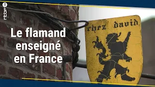 Le flamand peut dorénavant être enseigné en France - RTBF Info