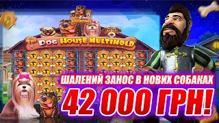 The Dog House Multihold 🤩 Шалений Занос в Нових Собаках 42 000 грн! 🤑 #казино #онлайнказино #україна