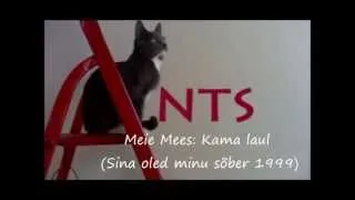 Meie Mees: Kama laul