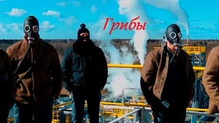 Грибы - Тает Лёд (пародия)