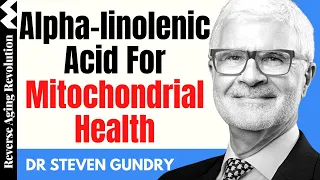 The Unexpected Health Benefits Of Alpha-linolenic Acid | Dr Steven Gundry Interview Clips
