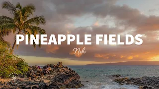 NSH - Pineapple Fields (Lyrics)