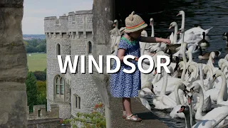 皇家靚郡 Windsor 🏛 溫莎一日遊 🇬🇧 #英國衣食住行