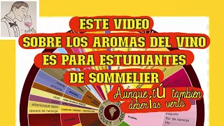 (251) Este video te da la CLAVE PARA ENTENDER  los AROMAS DEL VINO, Compruébalo!