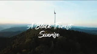 A Black Forest Sunrise