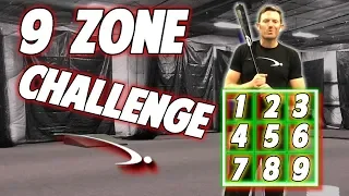 9 Zone Drill Challenge | Baseball Hitting Drill (Pro Speed Baseball)