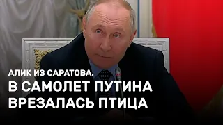 В самолет Путина врезалась птица. Алик из Саратова