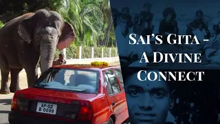 Sai's Gita A Divine Connect | Short Experiences With Bhagawan Sri Sathya Sai Baba | Sathya to Sai