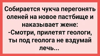 Чукча Наказывает Жене! Сборник Свежих Смешных Жизненных Анекдотов!