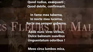 Franciscæ meæ laudes - Charles Baudelaire