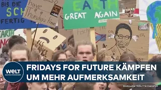 FRIDAYS FOR FUTURE: Kampf für das Klima - Politik und Wirtschaft sind im Verdrängungsmodus!