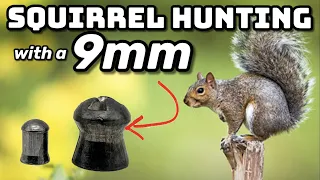 is a 9mm too much for Squirrels?