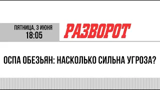 Оспа обезьян: насколько сильна угроза?