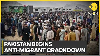 Undocumented Afghans being detained in Pakistan, over 300 migrants arrested in Karachi | WION