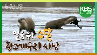 야생동물 겨울나기 고군분투기! / 환경스페셜 ‘얼음왕국의 생존자’ / KBS 20080402 방송